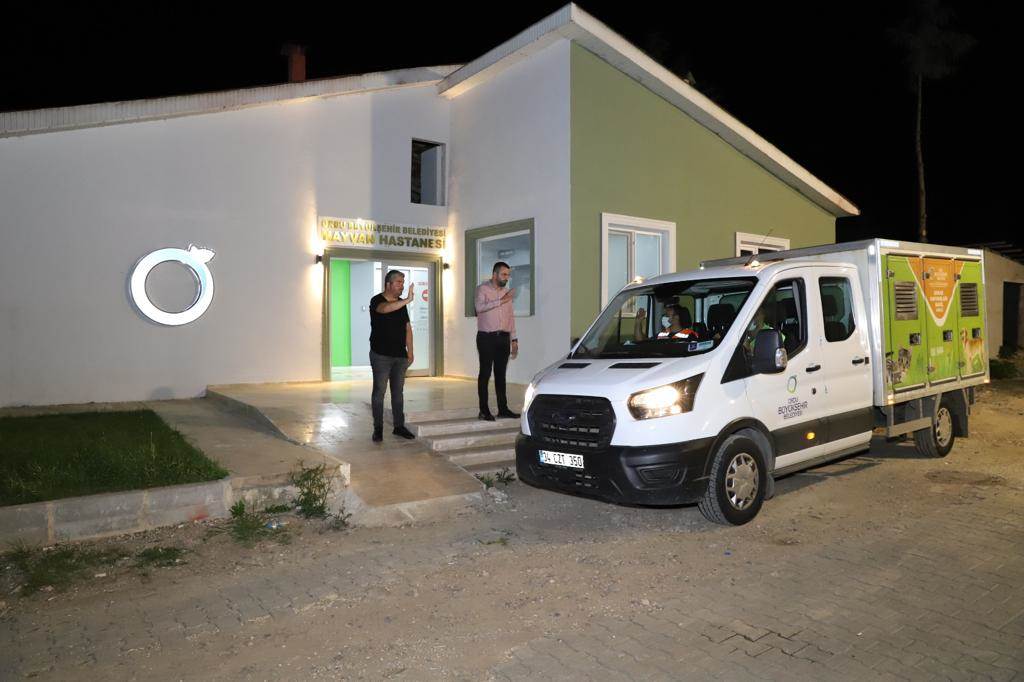 BÜYÜKŞEHİR, ANTALYA’DAKİ PATİ CANLAR İÇİN SEFERBER OLDU